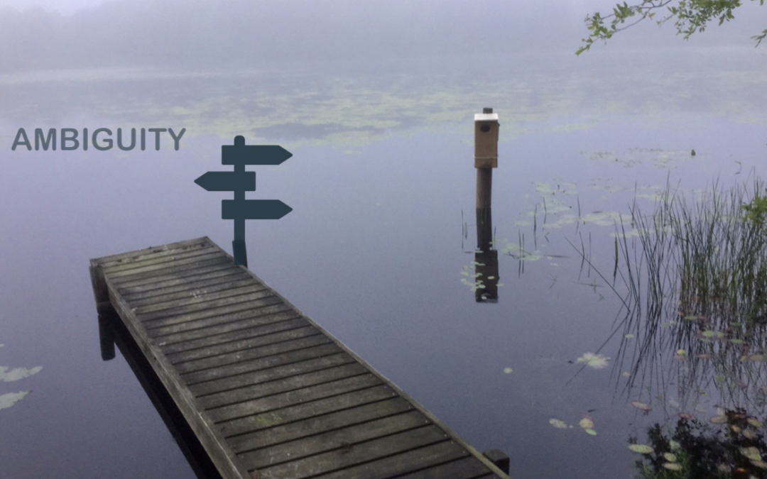 Ambiguity: When Ambiguity Descends Like a Fog